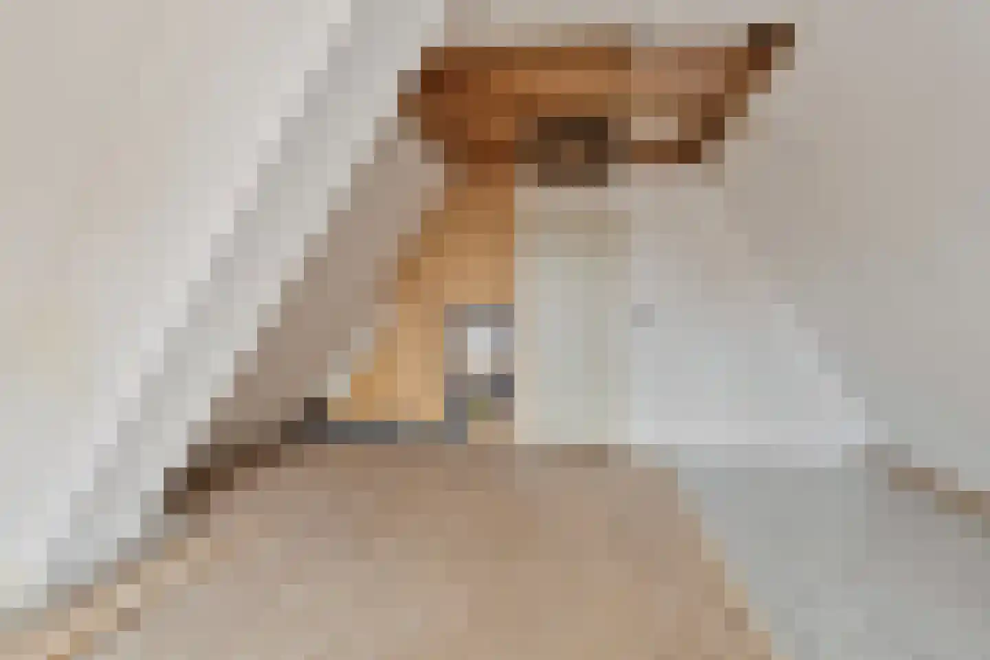 Nieuwe Noord 5 Hoorn thumbnail 36