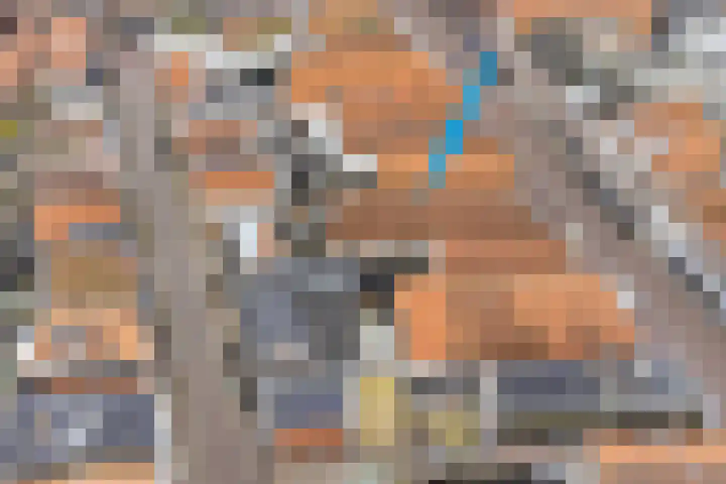 Nieuwe Noord 5 Hoorn thumbnail 4