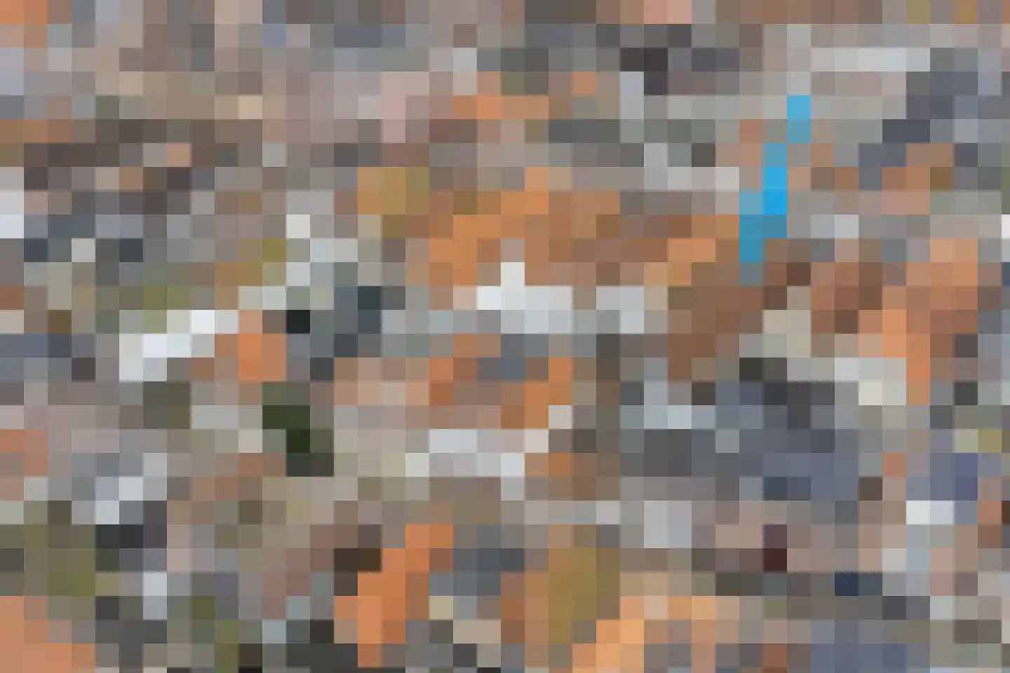 Nieuwe Noord 5 Hoorn thumbnail 42
