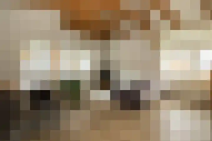 Nieuwe Noord 57 A Hoorn thumbnail 4