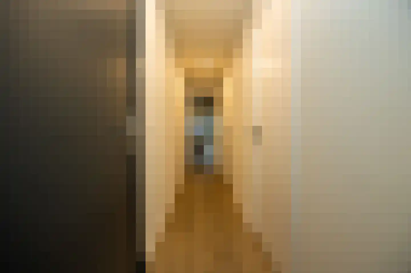 Nieuwe Noord 57 B Hoorn thumbnail 13