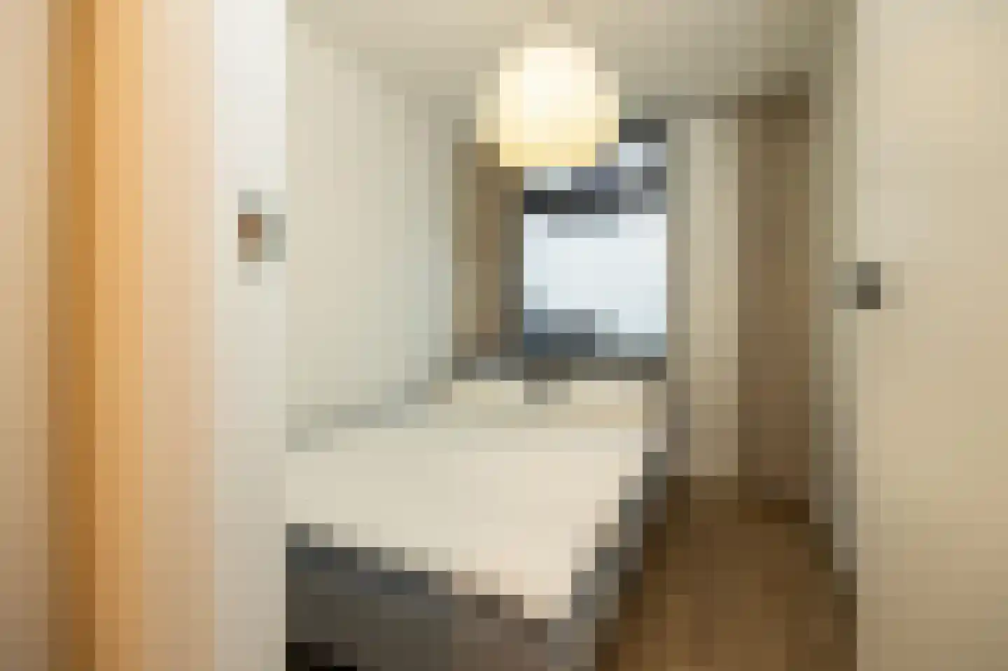 Nieuwe Noord 57 B Hoorn thumbnail 17