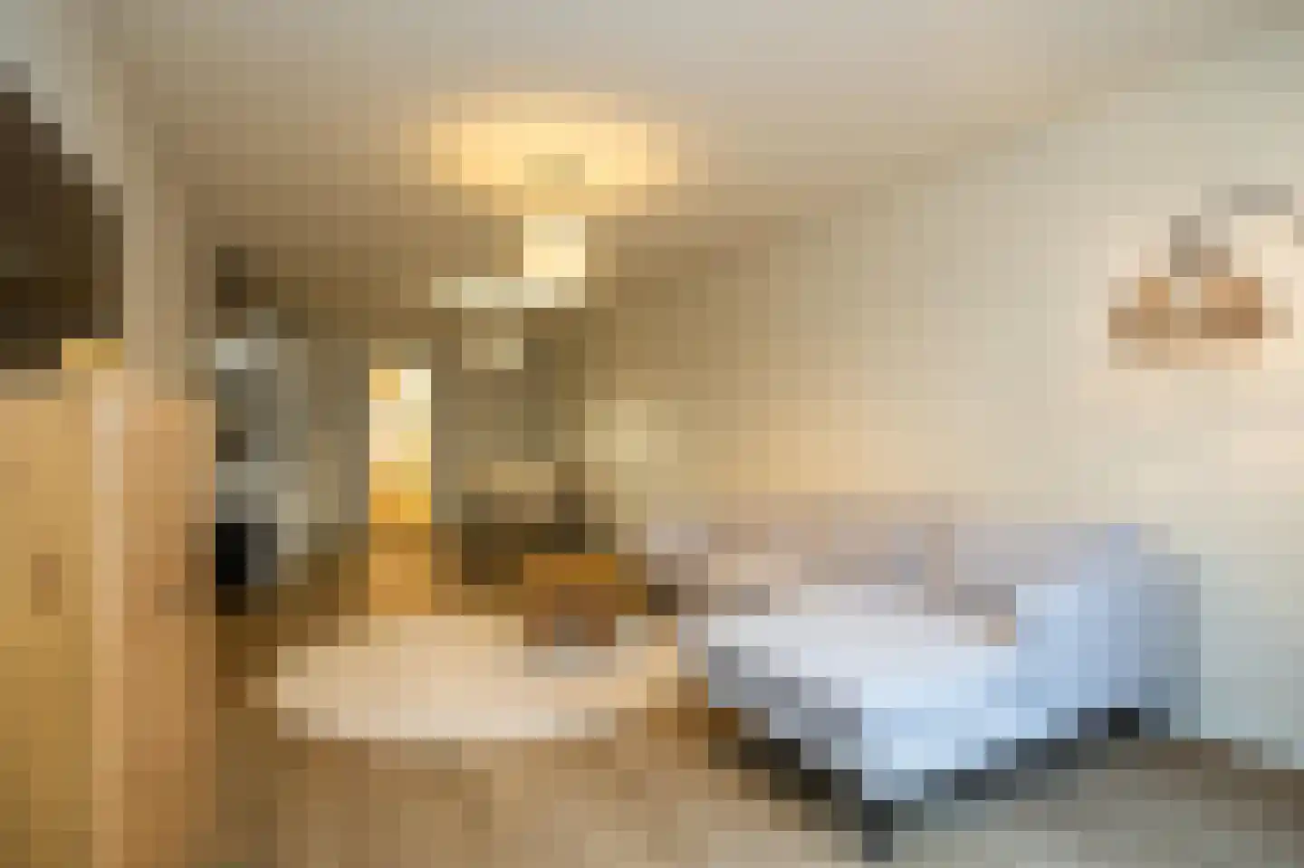 Nieuwe Noord 57 B Hoorn thumbnail 7