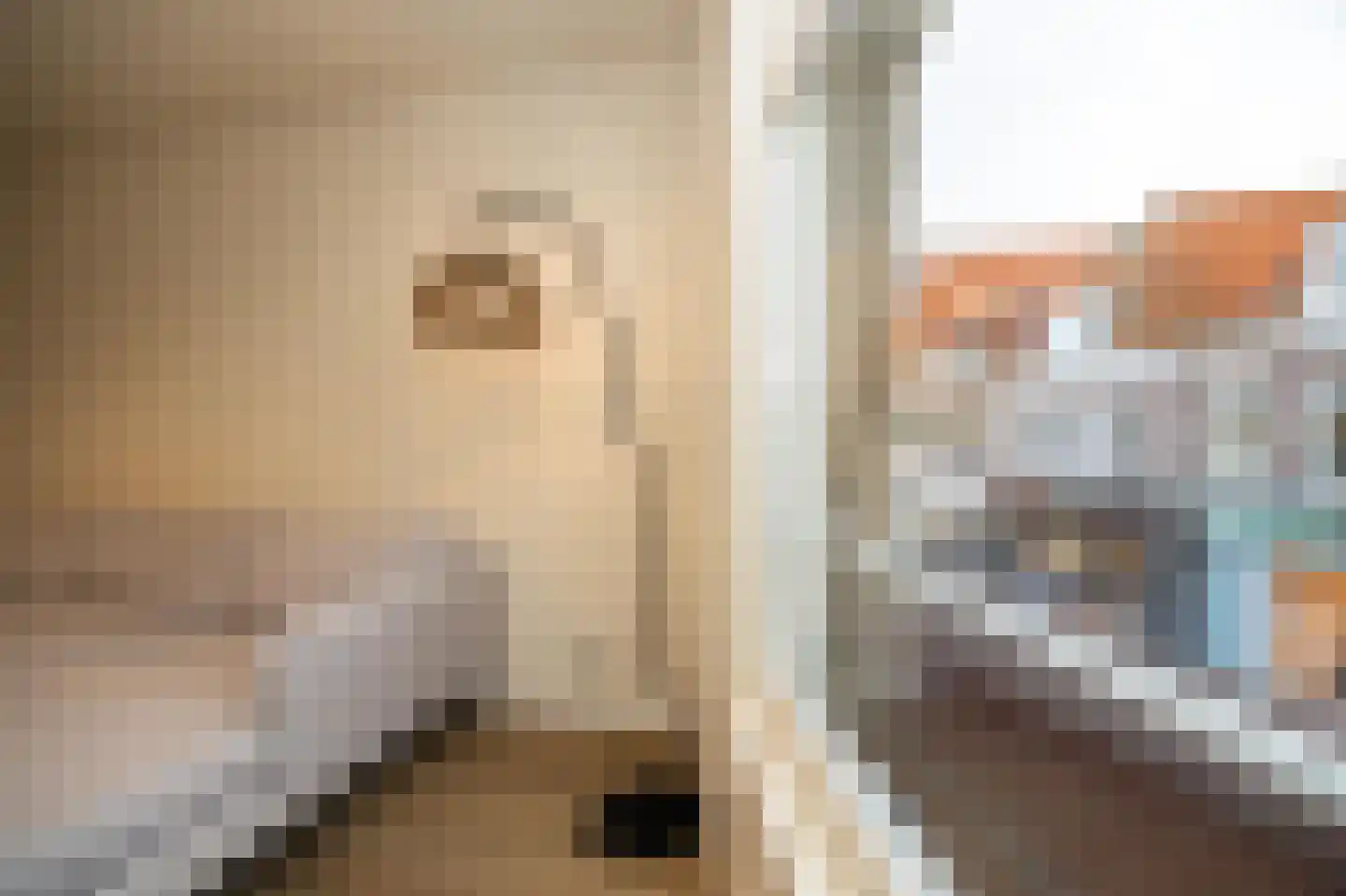 Nieuwe Noord 57 B Hoorn thumbnail 8