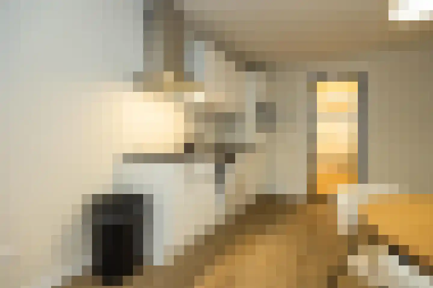 Nieuwe Noord 57 B Hoorn thumbnail 9
