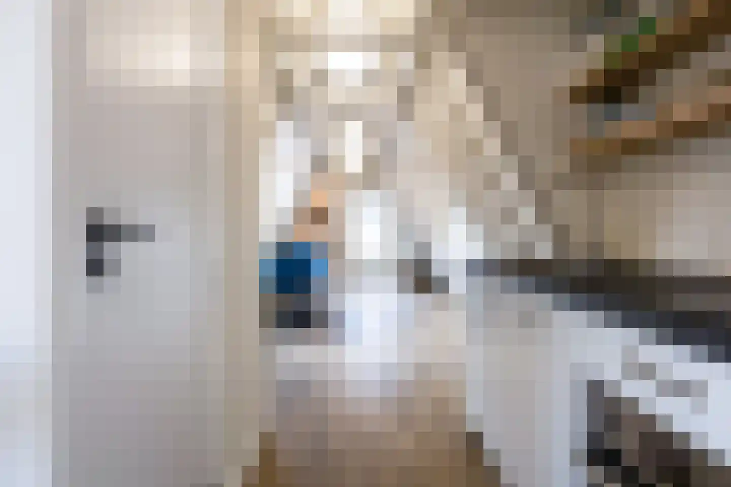 Nieuwe Noord 57 C Hoorn thumbnail 4