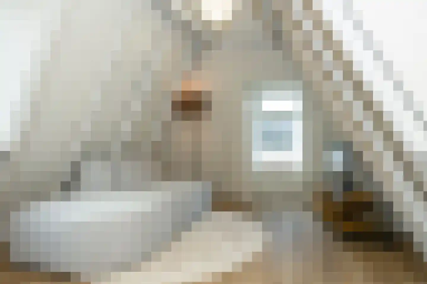 Nieuwe Noord 57 C Hoorn thumbnail 5