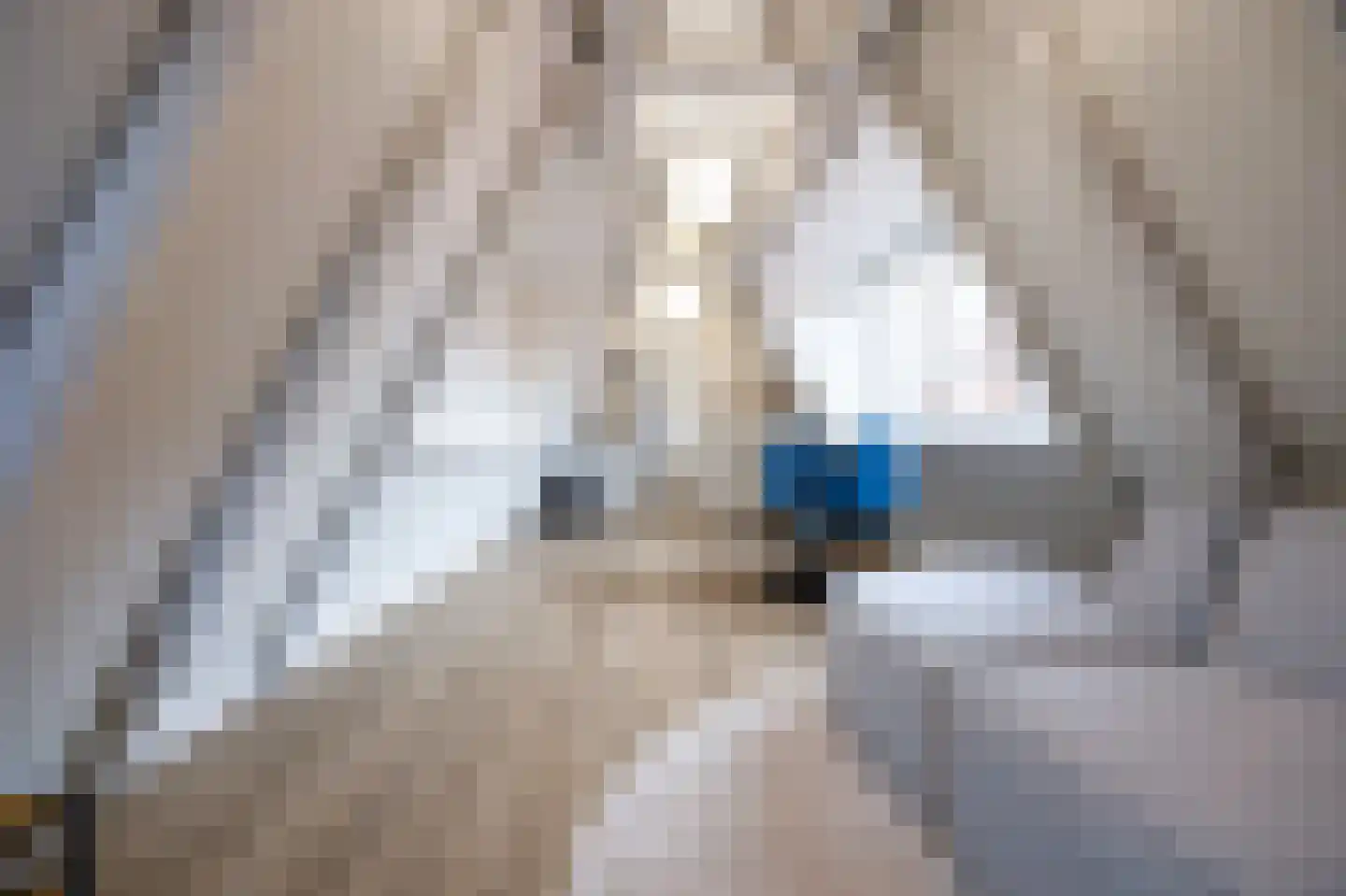 Nieuwe Noord 57 C Hoorn thumbnail 7
