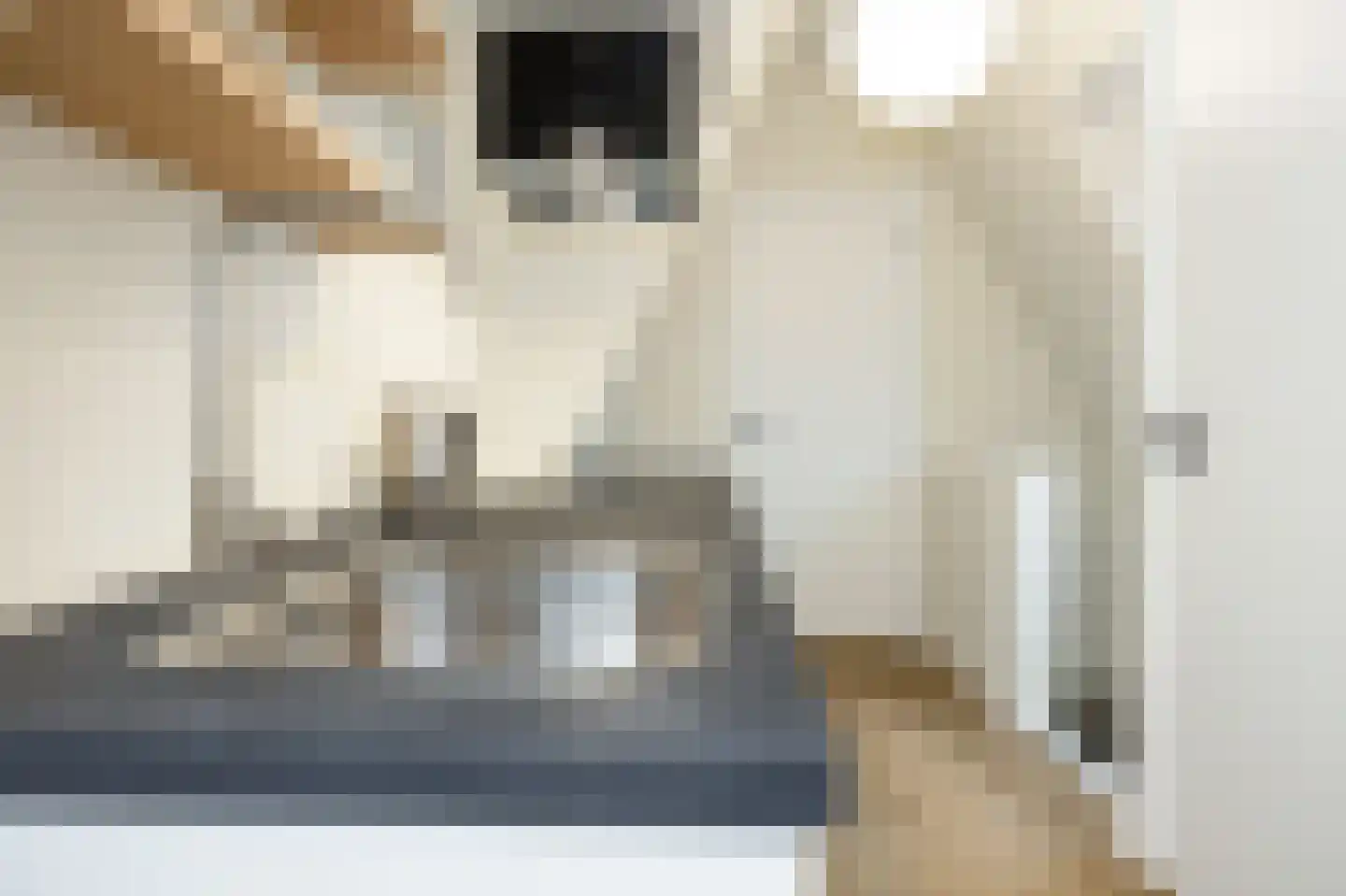 Nieuwe Noord 57 C Hoorn thumbnail 8