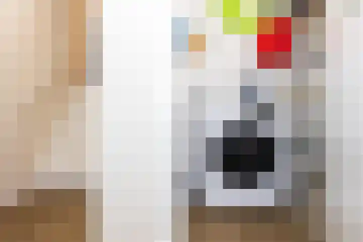 Nieuwe Noord 57 D Hoorn thumbnail 10