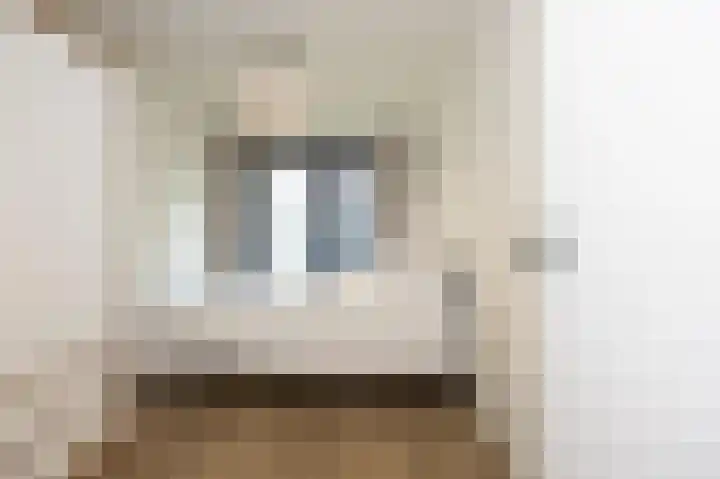 Nieuwe Noord 57 D Hoorn thumbnail 14
