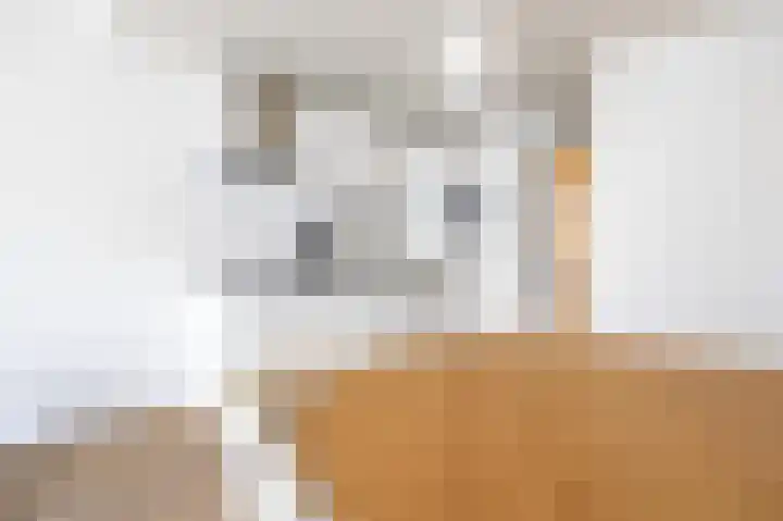 Nieuwe Noord 57 D Hoorn thumbnail 6