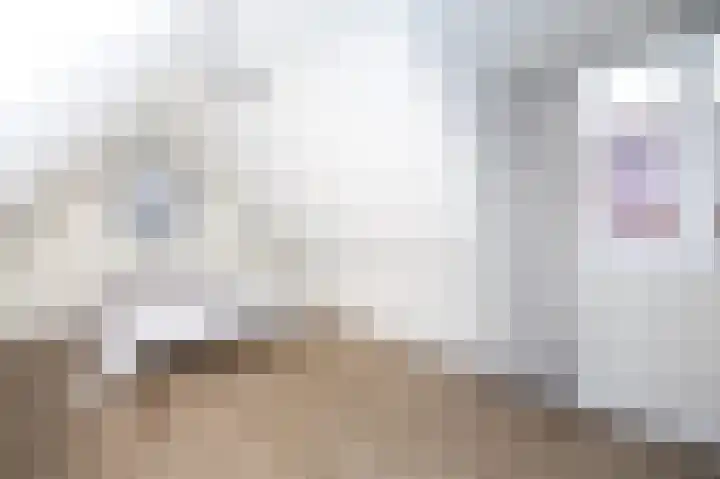 Nieuwe Noord 57 E Hoorn thumbnail 12