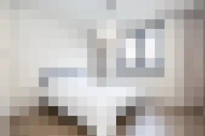 Nieuwe Noord 57 E Hoorn thumbnail 17