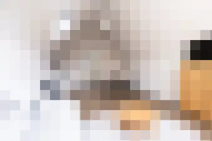 Nieuwe Noord 57 E Hoorn thumbnail 6