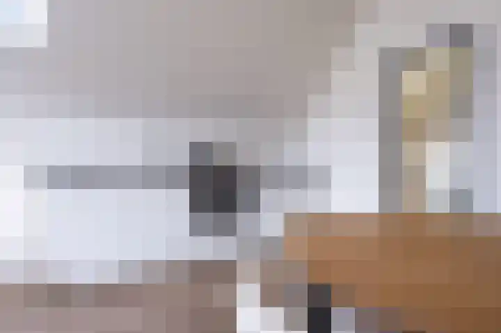 Nieuwe Noord 57 E Hoorn thumbnail 8