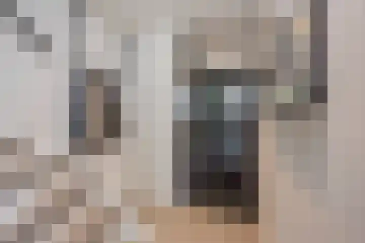 Nieuwe Noordenweg 19 Voorthuizen thumbnail 14