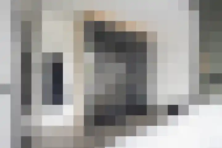 Nieuwe Noordenweg 19 Voorthuizen thumbnail 17