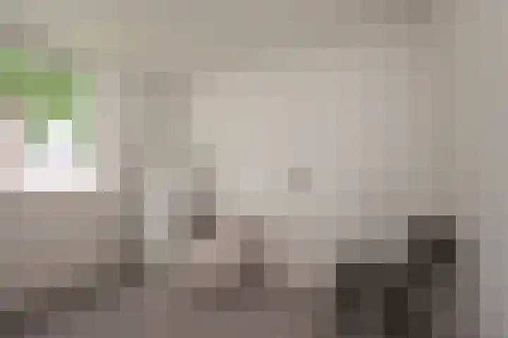 Nieuwe Noordenweg 19 Voorthuizen thumbnail 19