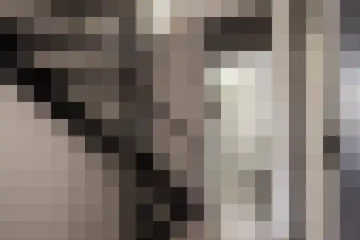 Nieuwe Noordenweg 19 Voorthuizen thumbnail 20