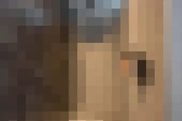 Nieuwe Noordenweg 19 Voorthuizen thumbnail 22