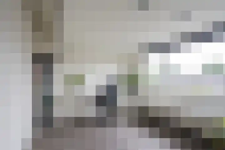 Nieuwe Noordenweg 19 Voorthuizen thumbnail 24