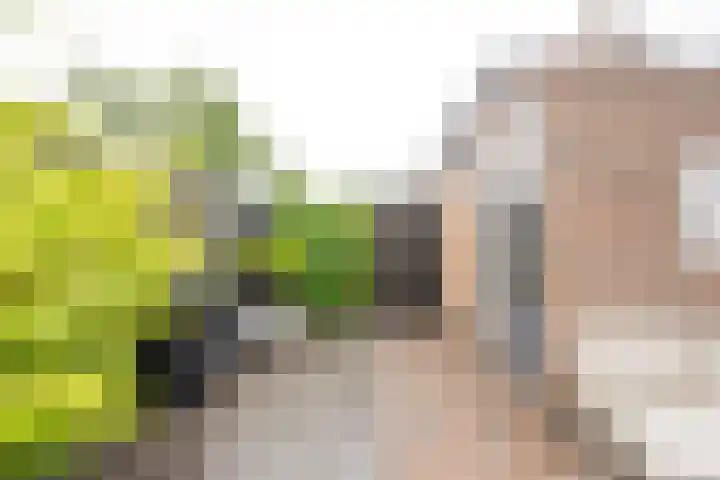 Nieuwe Noordenweg 19 Voorthuizen thumbnail 27