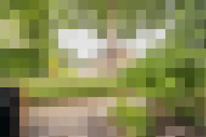 Nieuwe Noordenweg 19 Voorthuizen thumbnail 29