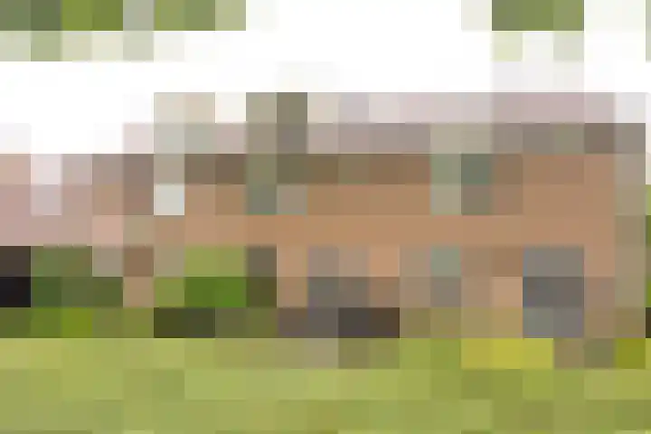 Nieuwe Noordenweg 19 Voorthuizen thumbnail 30