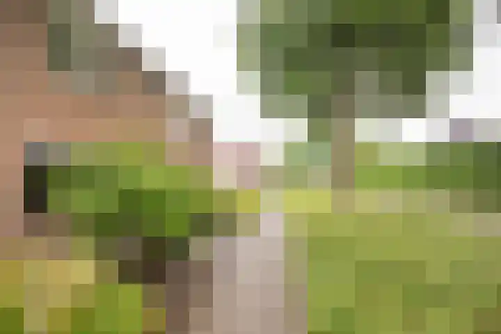 Nieuwe Noordenweg 19 Voorthuizen thumbnail 31