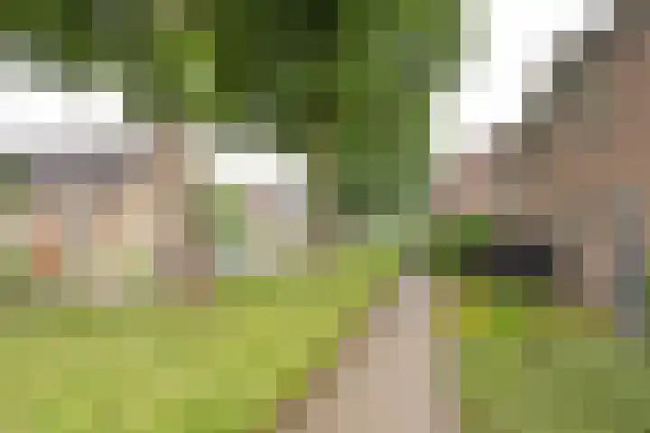 Nieuwe Noordenweg 19 Voorthuizen thumbnail 32