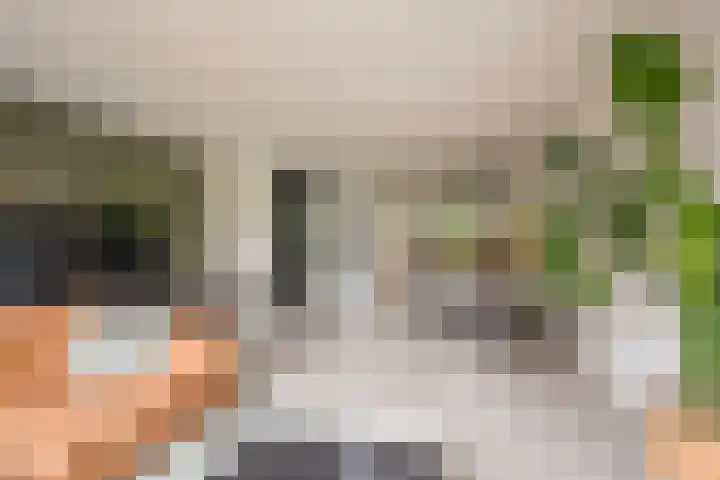 Nieuwe Noordenweg 19 Voorthuizen thumbnail 4