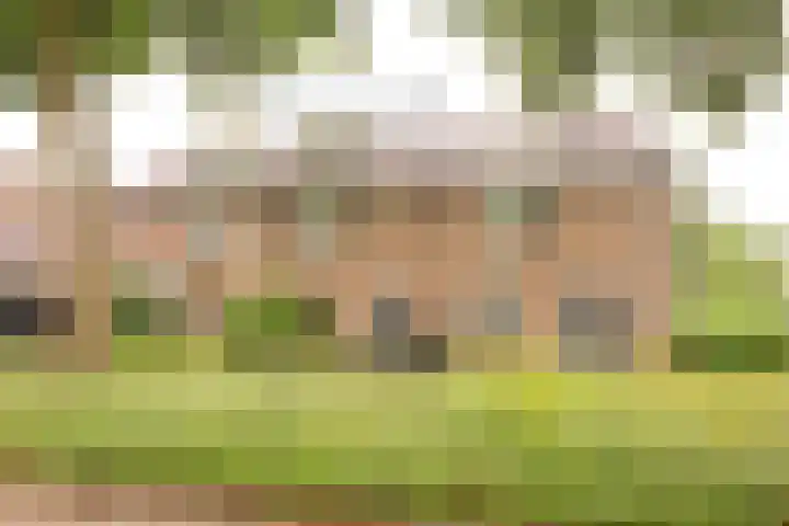 Nieuwe Noordenweg 19 Voorthuizen thumbnail 45