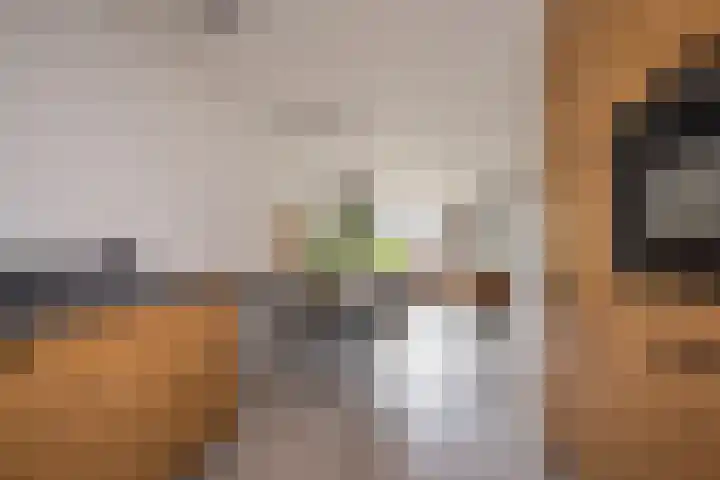Nieuwe Noordenweg 19 Voorthuizen thumbnail 5