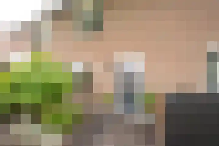 Nieuwe Noordenweg 19 Voorthuizen thumbnail 6