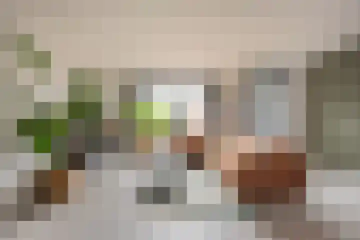 Nieuwe Noordenweg 19 Voorthuizen thumbnail 9