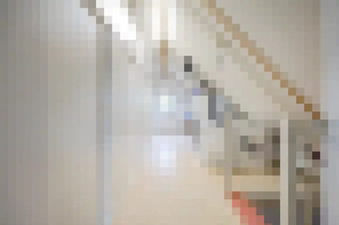 Nieuwe Ommoordseweg 74 Rotterdam thumbnail 33