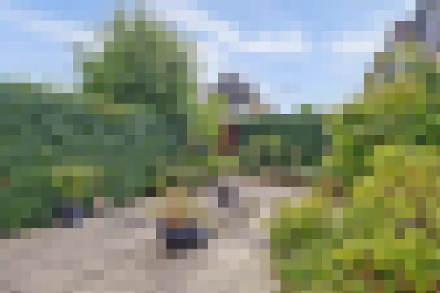 Nieuwe Ommoordseweg 74 Rotterdam thumbnail 37