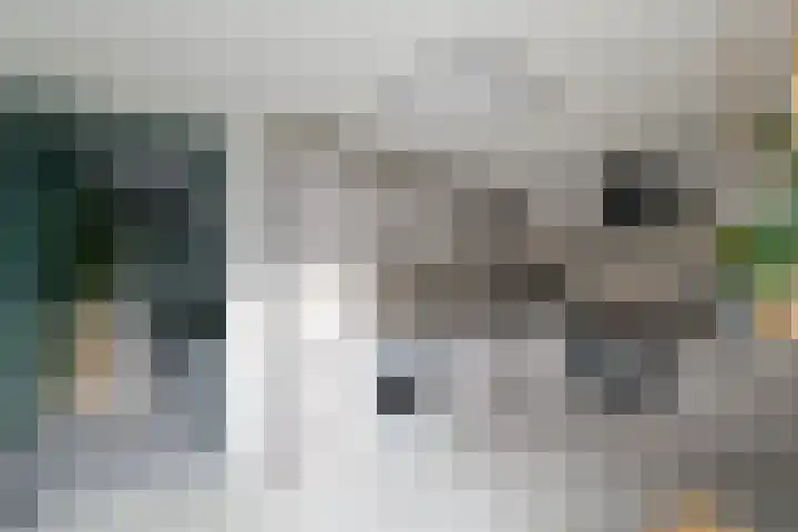 Nieuwe Onnastraat 26 Steenwijk thumbnail 12