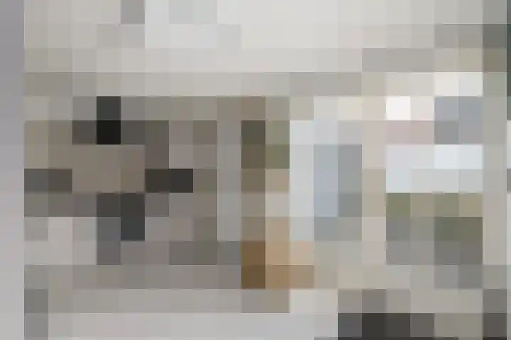Nieuwe Onnastraat 26 Steenwijk thumbnail 13