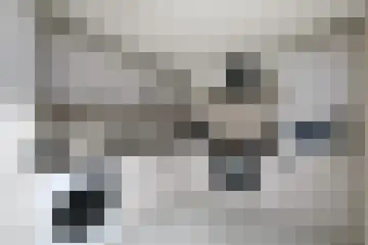 Nieuwe Onnastraat 26 Steenwijk thumbnail 15