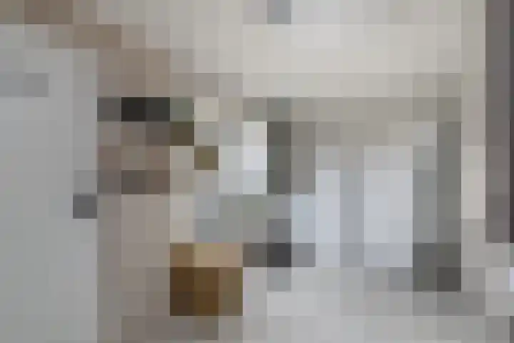 Nieuwe Onnastraat 26 Steenwijk thumbnail 16