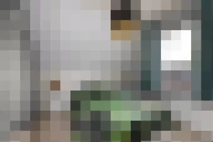 Nieuwe Onnastraat 26 Steenwijk thumbnail 19