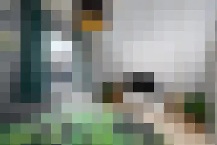 Nieuwe Onnastraat 26 Steenwijk thumbnail 20