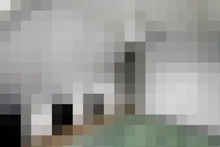 Nieuwe Onnastraat 26 Steenwijk thumbnail 24