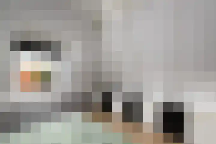 Nieuwe Onnastraat 26 Steenwijk thumbnail 25