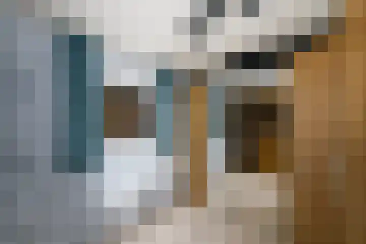 Nieuwe Onnastraat 26 Steenwijk thumbnail 28