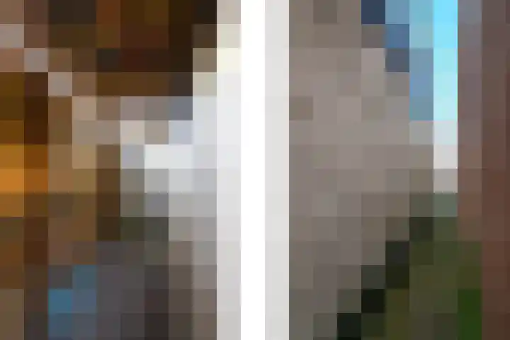 Nieuwe Onnastraat 26 Steenwijk thumbnail 37