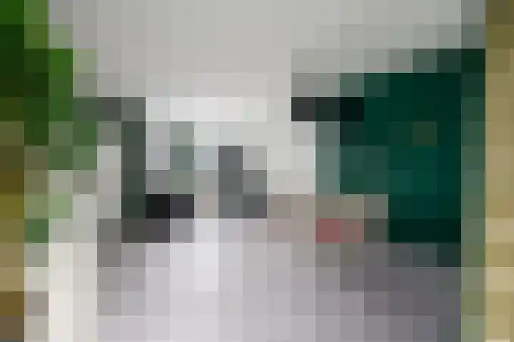 Nieuwe Onnastraat 26 Steenwijk thumbnail 4
