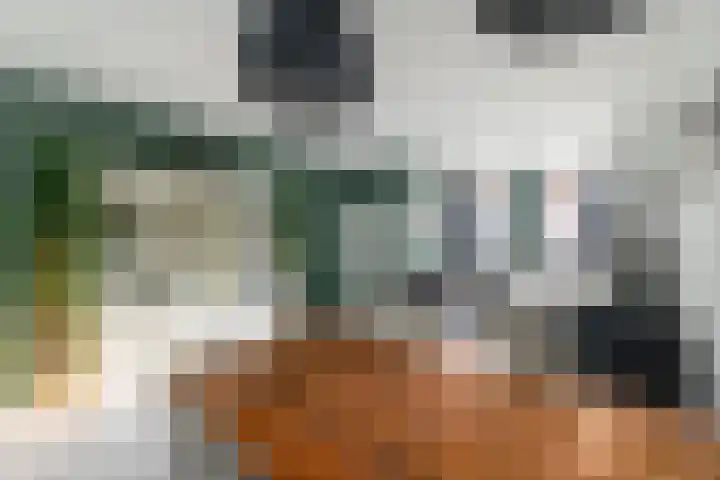 Nieuwe Onnastraat 26 Steenwijk thumbnail 5